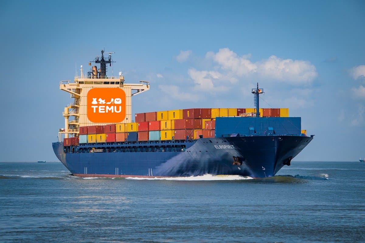 Relația dintre taxele de livrare Temu și experiența de cumpărături în aplicație