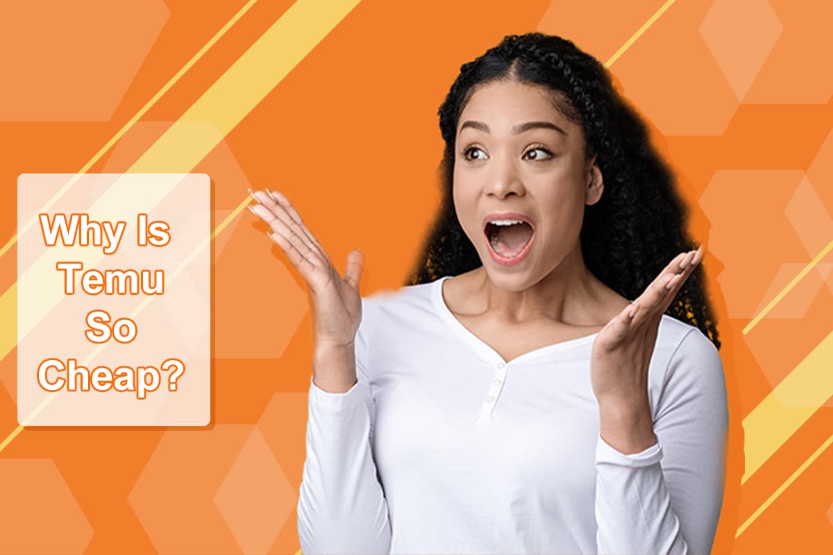 Cum te ajută aplicația Temu să economisești constant